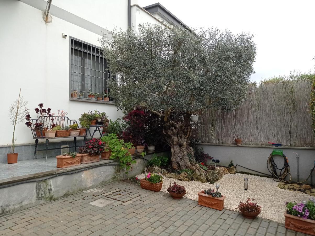 Villa Sogno Castel Fusano Екстериор снимка